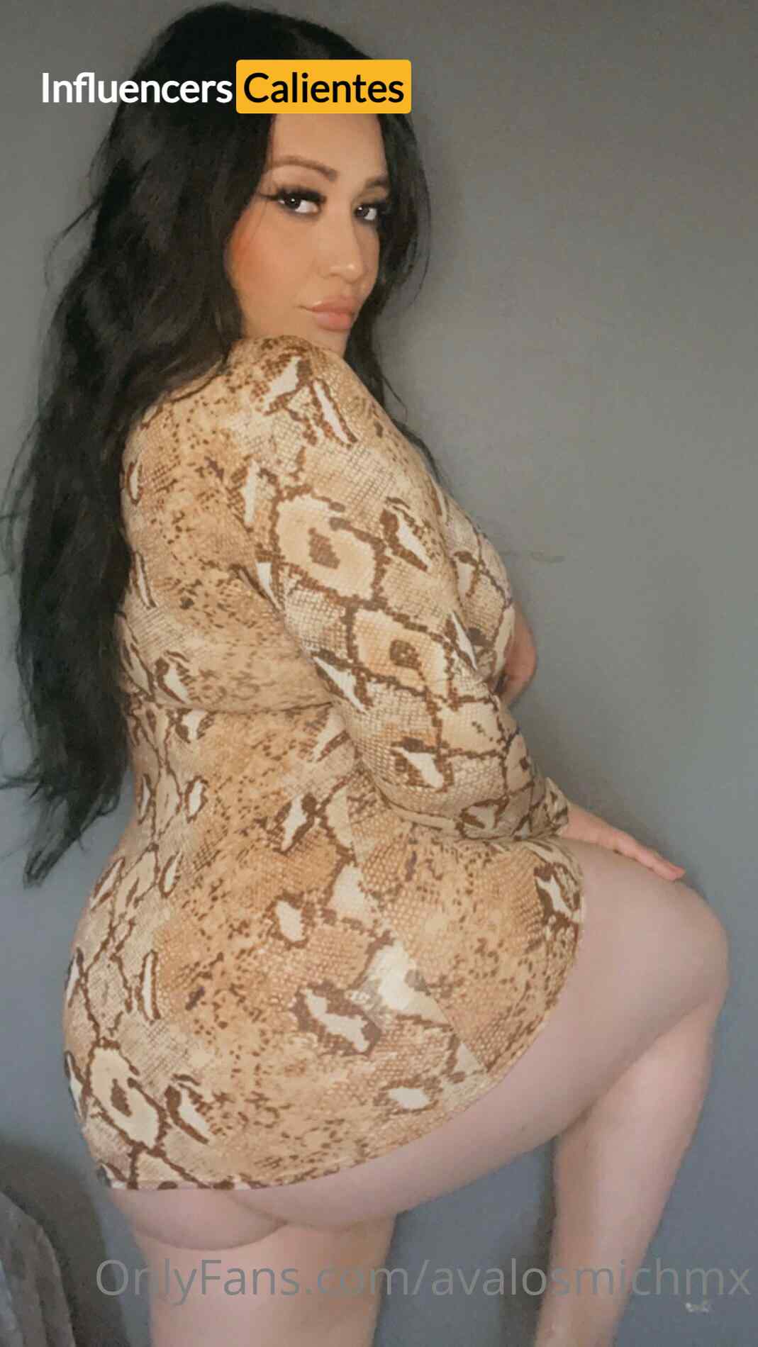 Avalosmichmx Nudes Influencerscalientes.com (14)